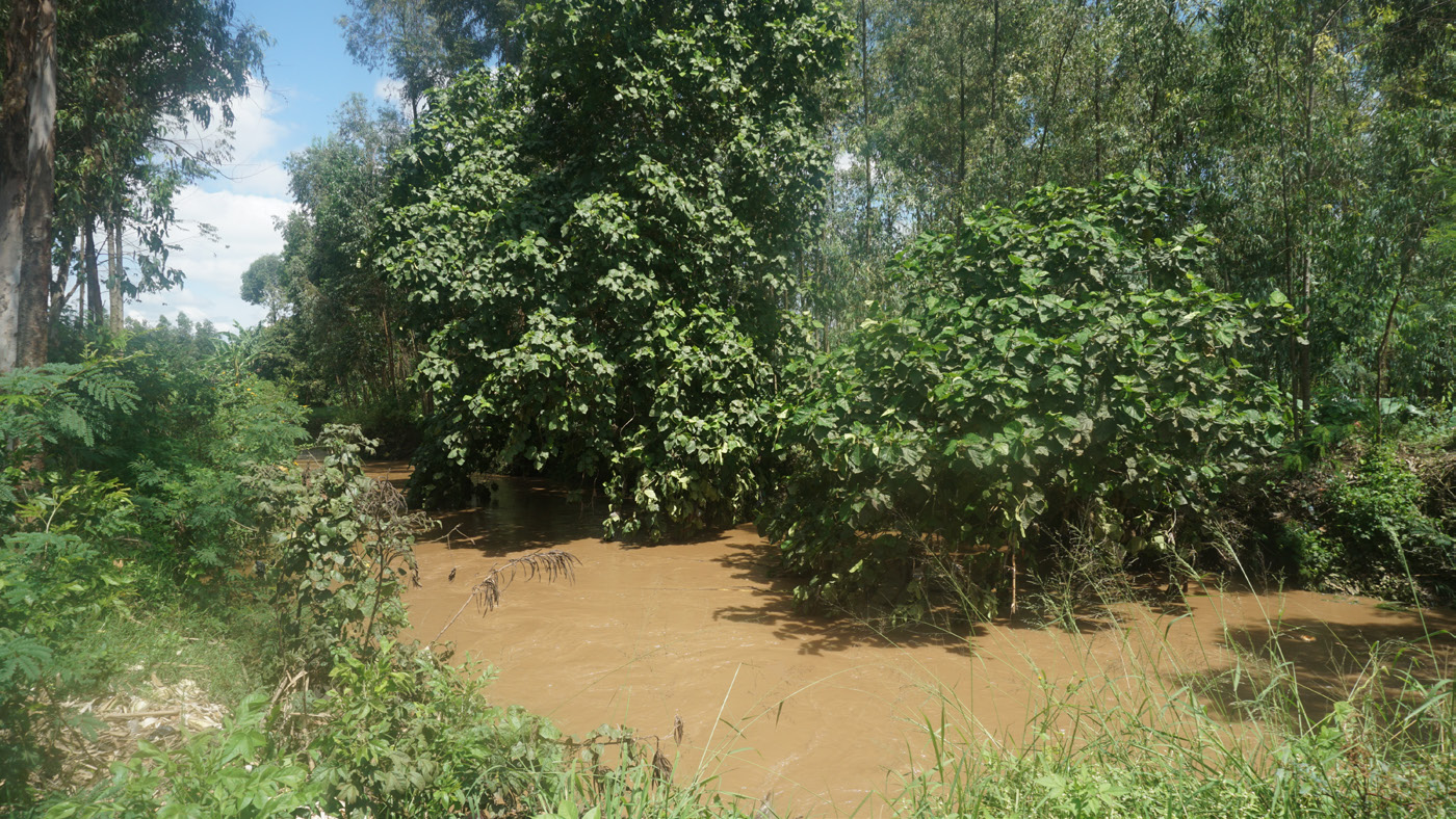 Field research activity during the Uganda project.